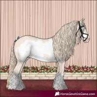 Horse Color:Perlino Frame 