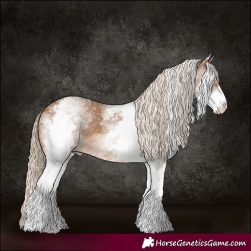 Horse Color:White Spotted Chocolate Palomino Rabicano 