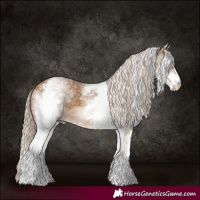 Horse Color:White Spotted Chocolate Palomino Rabicano 