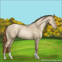 Horse Color:Smoky Grullo Pearl Tobiano 
