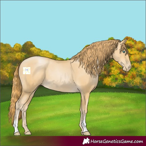 Horse Color:Smoky Black Pearl 