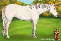 Horse Color:Perlino Roan 