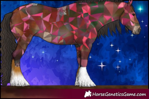 Horse Color:Bay Tobiano 