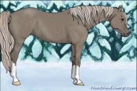 Horse Color:Silver Grullo 