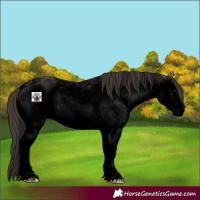 Horse Color:Void White Spotted Bay Dun 
