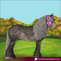 Horse Color:Silver Smoky Black 