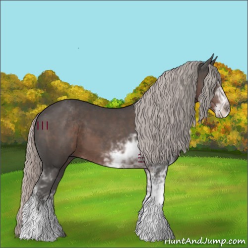 Horse Color:Silver Black Sabino 