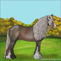 Horse Color:Silver Black Sabino 