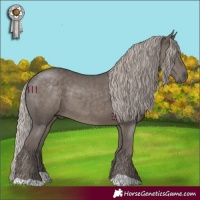 Horse Color:Silver Black 