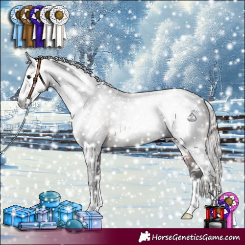 Horse Color:Gray Silver Brown Sabino 