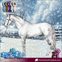 Horse Color:Gray Silver Brown Sabino