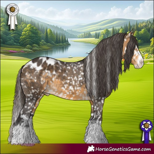 Horse Color:Buckskin Splash Appaloosa 