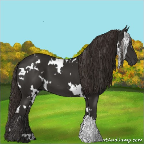 Horse Color:White Spotted Liver Chestnut