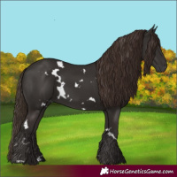Horse Color:White Spotted Liver Chestnut
