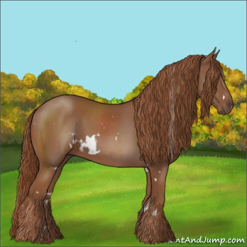 Horse Color:White Spotted Chestnut