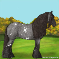 Horse Color:White Spotted Liver Red Roan 