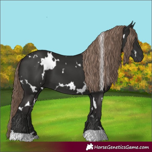 Horse Color:White Spotted Liver Chestnut 