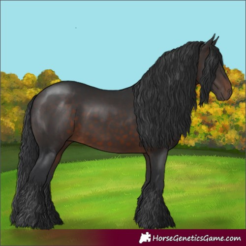 Horse Color:Brown 