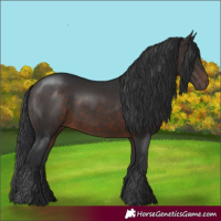 Horse Color:Brown 