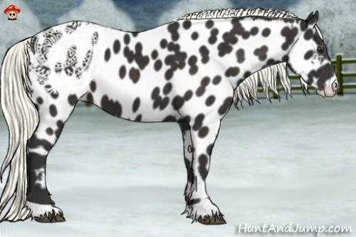 Horse Color:Liver Chestnut Mushroom Near Leopard