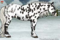 Horse Color:Liver Chestnut Mushroom Near Leopard