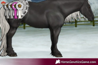 Horse Color:Liver Chestnut Mushroom 