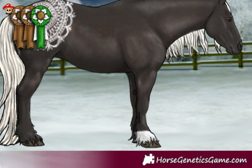 Horse Color:Liver Chestnut Mushroom 