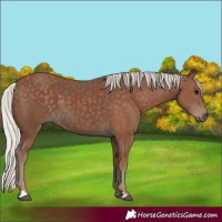 Horse Color:Silver Black 