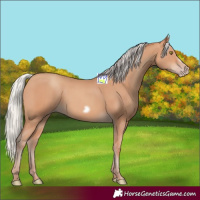 Horse Color:Silver Amber Champagne Frame 