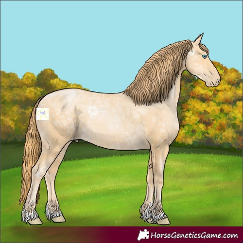 Horse Color:Buckskin Ice Pearl 