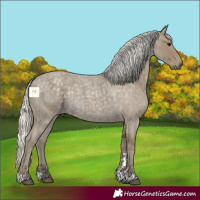 Horse Color:Silver Smoky Blue Roan 