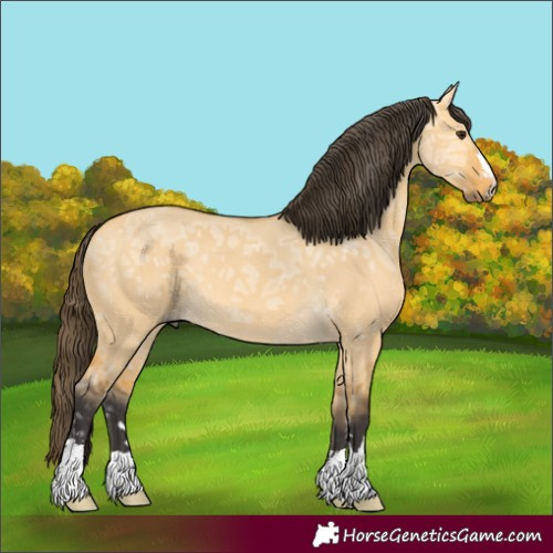 Horse Color:Buckskin Ice Dun 