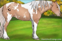 Horse Color:White Spotted Silver Sable Champagne Tobiano
