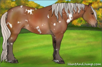 Horse Color:White Spotted Silver Bay 