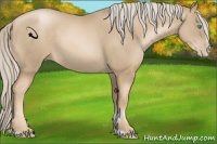 Horse Color:Chocolate Palomino Pearl Sabino