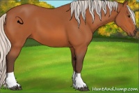 Horse Color:Silver Bay Sabino Tobiano
