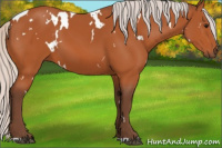 Horse Color:White Spotted Silver Bay 