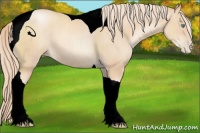 Horse Color:Gold Champagne Pearl Tobiano 