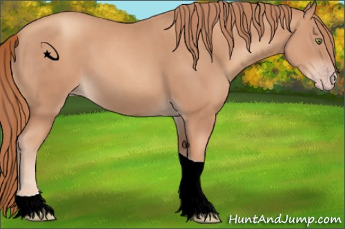 Horse Color:Gold Champagne Tobiano 