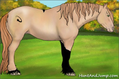 Horse Color:Gold Champagne Tobiano 