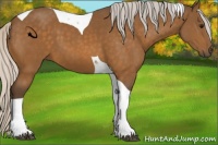 Horse Color:Silver Buckskin Tobiano 