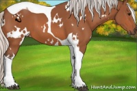 Horse Color:White Spotted Silver Bay Tobiano
