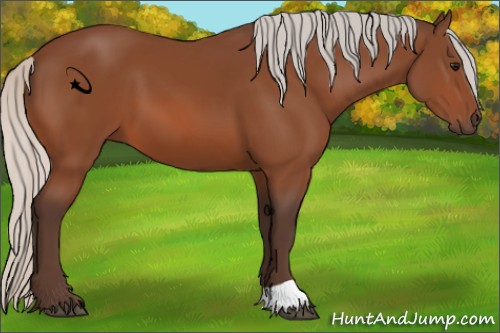 Horse Color:Silver Bay