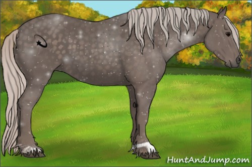 Horse Color:Silver Black 