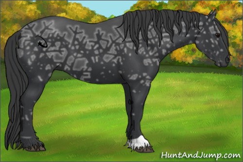 Horse Color:Black Ice