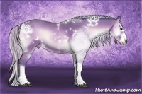 Horse Color:Watercolor White Spotted Silver Brown Onyx Sabino Splash 