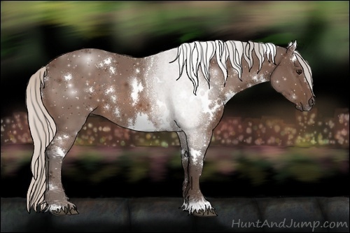 Horse Color:White Spotted Silver Bay