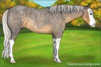 Horse Color:Silver Smoky Blue Roan Splash 