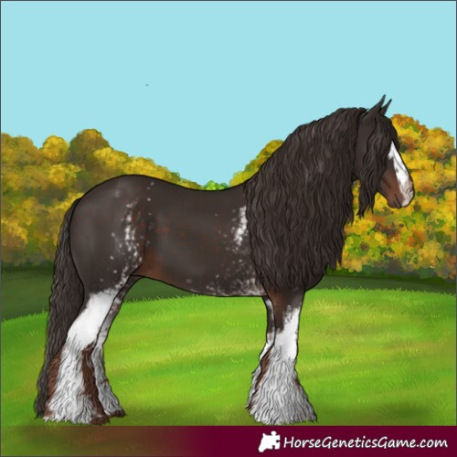 Horse Color:White Spotted Liver Chestnut 