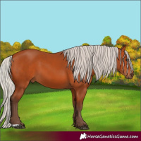 Horse Color:Silver Brown 